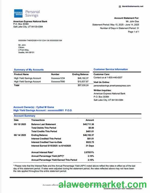 USA American Express National Bank account statement Word and PDF template